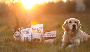 Päikesepaiste ja vitamiinid Yarrah koeratoidus